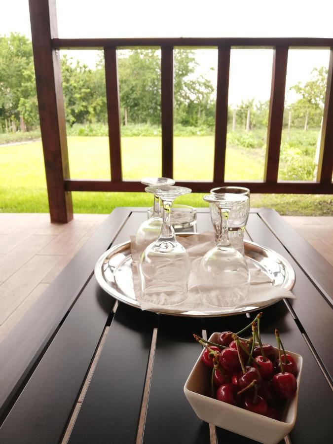Casa De Vacanta Ayan Harman ภายนอก รูปภาพ