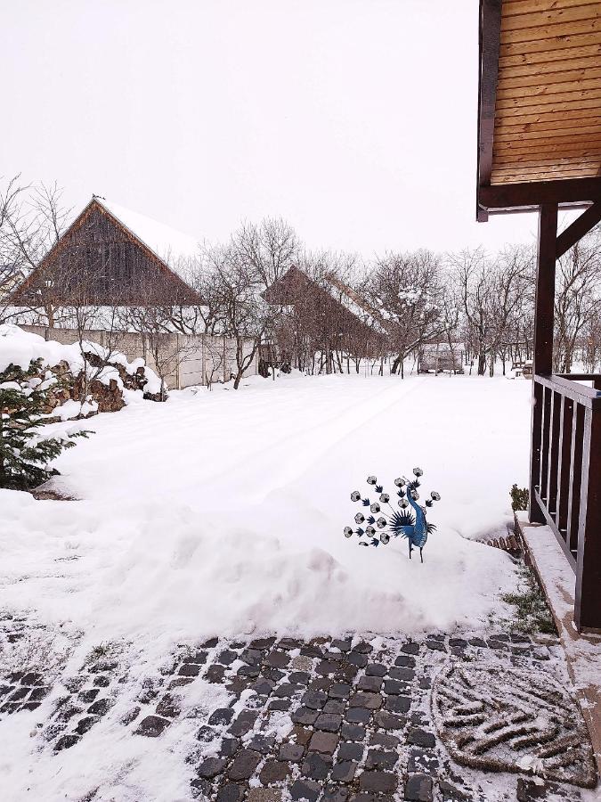 Casa De Vacanta Ayan Harman ภายนอก รูปภาพ